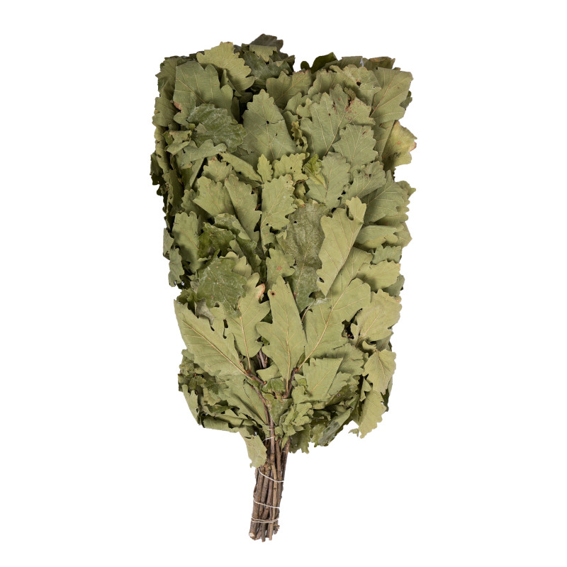 Tölgyfa szaunavessző