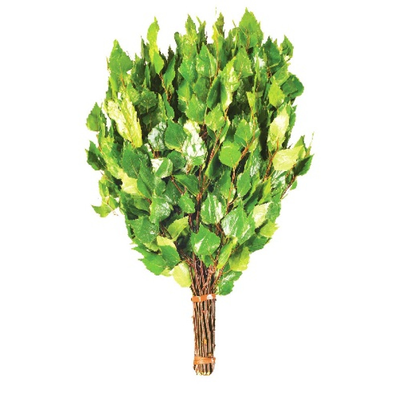 Nyírfa habverő gyógynövényekkel