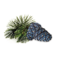 HARVIA szauna illatkoncentrátum, arolla fenyő 1 l 