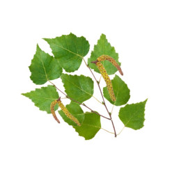 HARVIA szauna illatkoncentrátum, északi nyírfa 1 l 