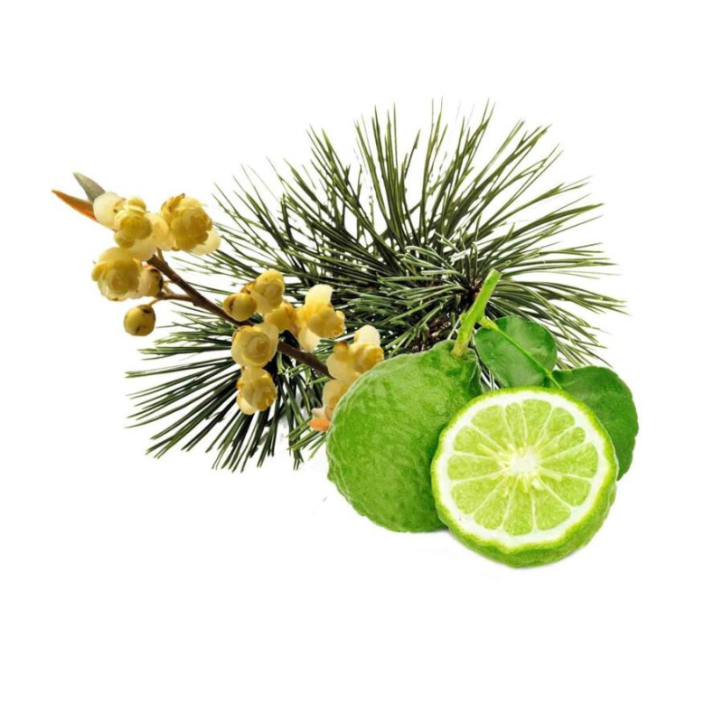 HARVIA szauna illatkoncentrátum, arolla fenyő, bergamott és litsea cubeba 1 l