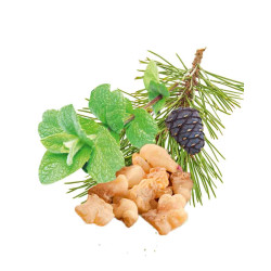 HARVIA szauna illatkoncentrátum, borsmenta, fenyő, tömjén és mirha 1 l 