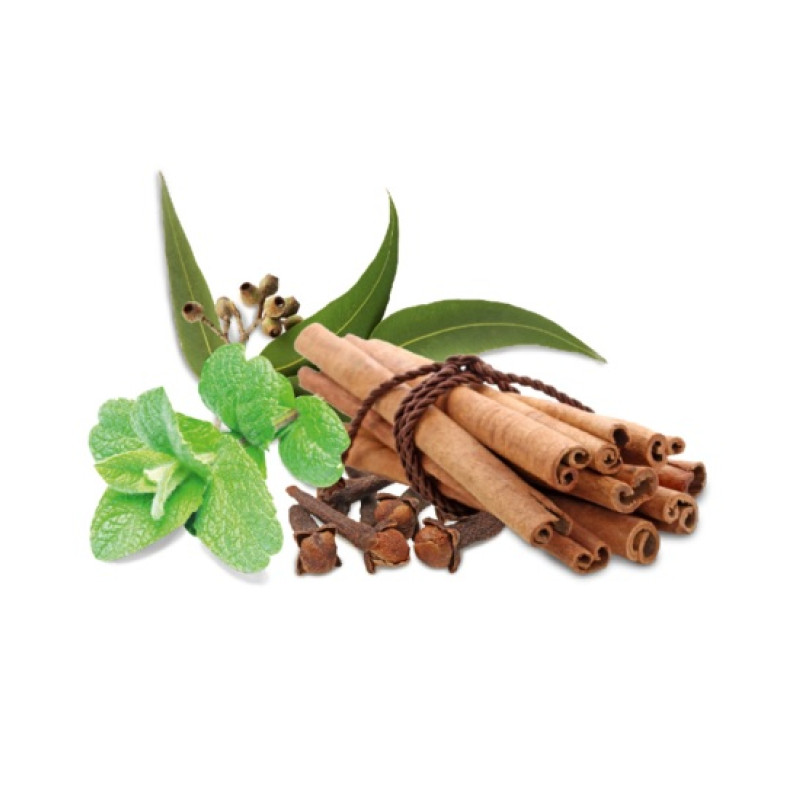 HARVIA szauna illatkoncentrátum, fűszer és menta 1 l