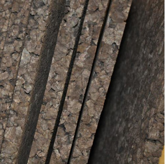 Thermo parafa