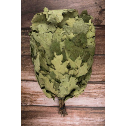 Kanadai tölgy seprű 